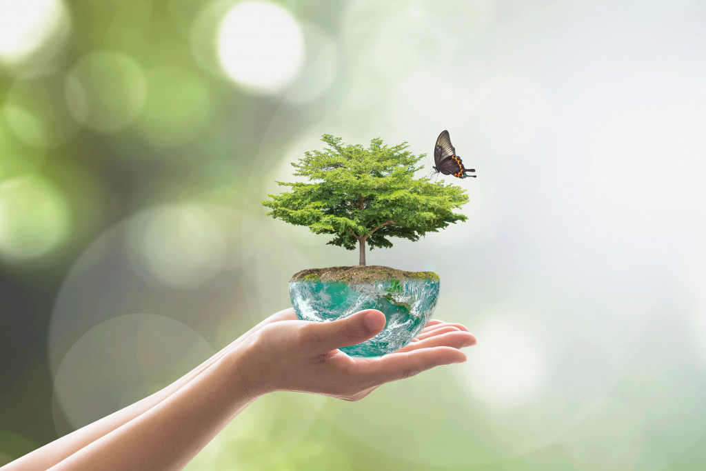 Planting tree in green globe on female human hands with a butterfly on blurred natural background arbor greenery