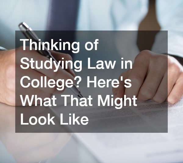 Thinking of Studying Law in College? Heres What That Might Look Like