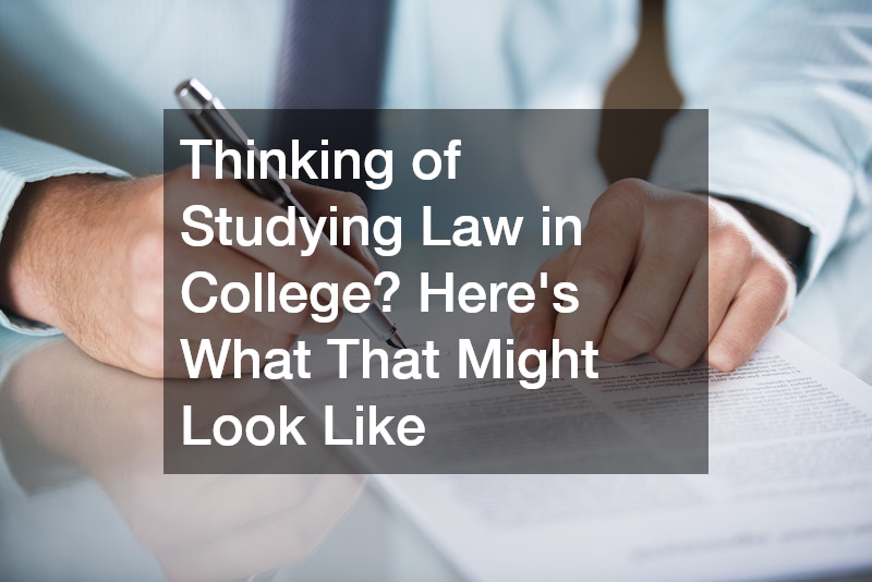 Thinking of Studying Law in College? Heres What That Might Look Like